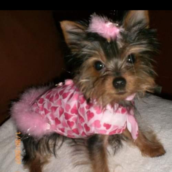 Nike Other - Miss Diva POSHMARK FOLLOWERS